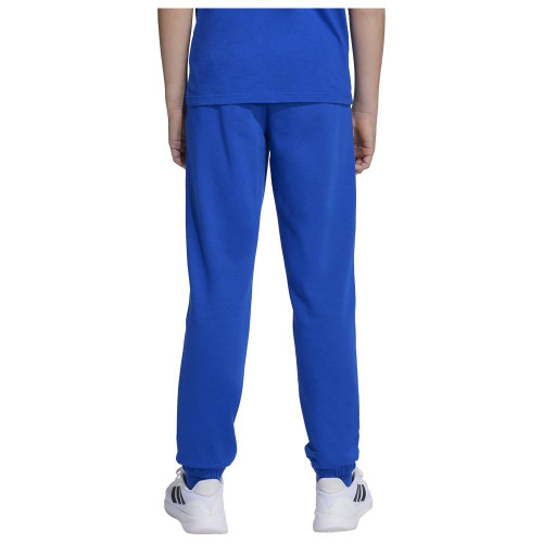 Adida Παιδικό παντελόνι φόρμας Essentials Small Logo Feelcozy Fleece Pants